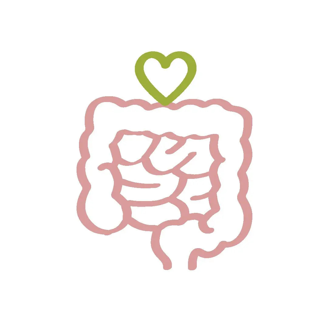 Gut-Health Joulebody