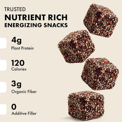 Energy Bites - Acai Hibiscus (6-Pack) | Plant-Based, No Refined Sugar, Gut-Friendly Snack Joulebody